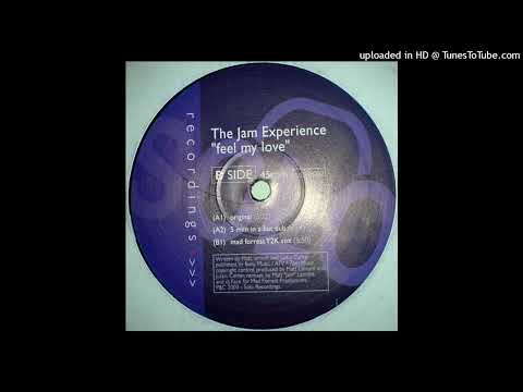 The Jam Experience — The Jam Experience - Feel My Love (5 Men In A Hut Dub)