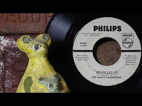 The Magic Mushrooms — The Magic Mushrooms - Never Let Go  ...1967