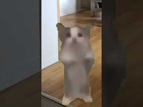 Schnappi — Schni schna schnappi