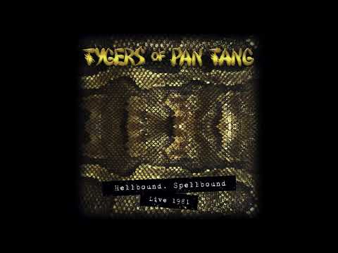 Tygers Of Pan Tang — Tygers Of Pan Tang - Gangland（Hellbound, Spellbound Live 1981）