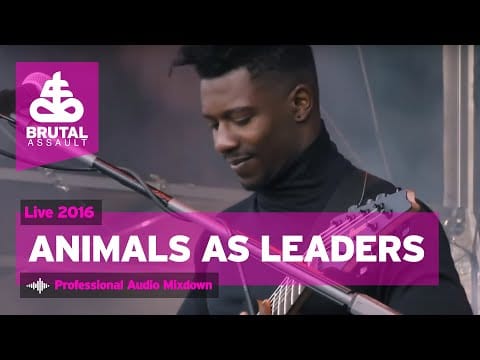 Animals As Leaders — Brutal Assault 21 - Animals As Leaders (live) 2016