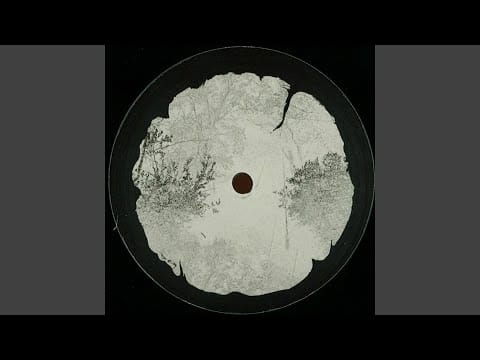 Bleak (4) — Excess