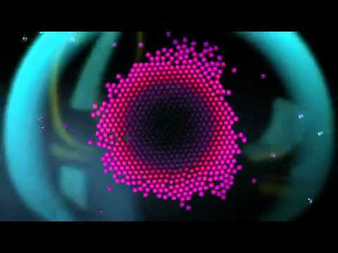 The Potbelleez — The Potbelleez   Hello Official Video