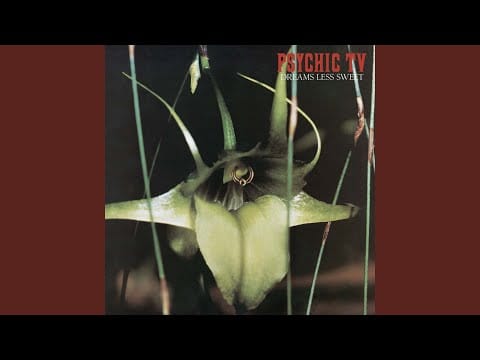 Psychic TV — White Nights