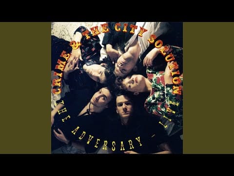 Crime & The City Solution — The Dolphins and the Sharks (Live)