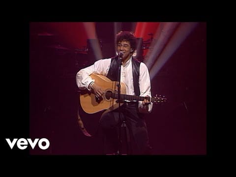 Laurent Voulzy — Laurent Voulzy - Karin Redinger (Voulzy Tour au Zénith de Paris 1993)
