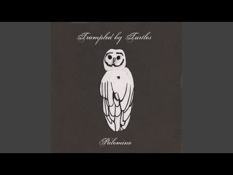 Trampled by Turtles — Sounds Like a Movie