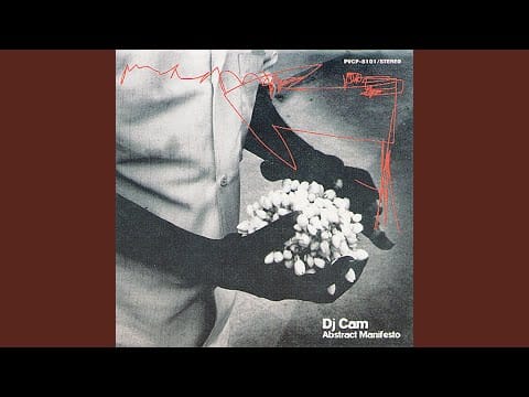 DJ Cam — Un été à Paris