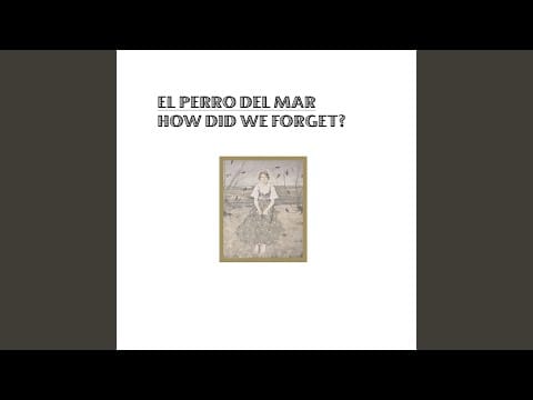 El Perro del Mar — How Did We Forget?