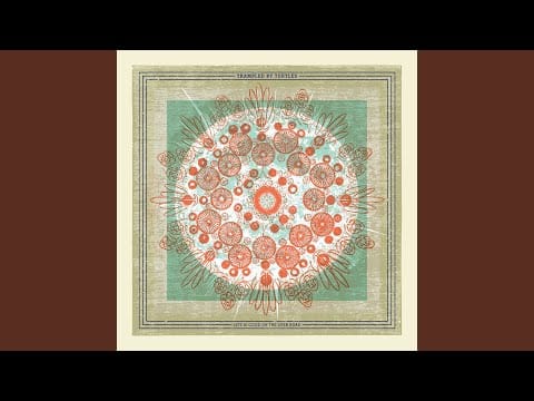 Trampled by Turtles — We All Get Lonely