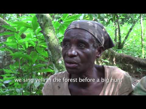 Baka Beyond — Baka Beyond the Forest
