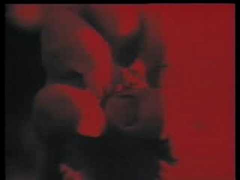 ACTUS — A C T U S - Apocalypse