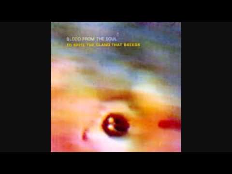 Blood From The Soul — Blood From The Soul- Guinea Pig