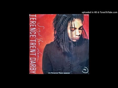 Terence Trent D'Arby — Terence Trent D'Arby - Rain (Lee "Scratch" Perry remix)