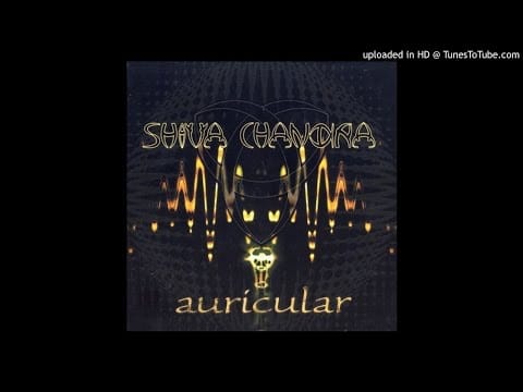 Shiva Chandra — Shiva Chandra - Microphone