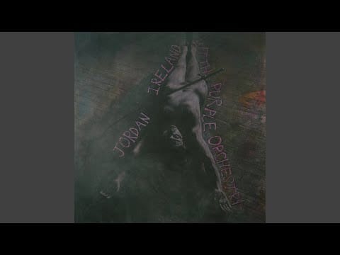 Jordan Ireland — Ceremony in Purple