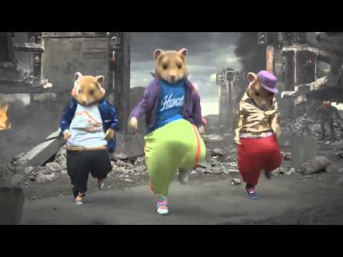 Hampton The Hampster — 2011 MTV KIA Commercial Parody - Hamster Dance (The Boomtang Boys)