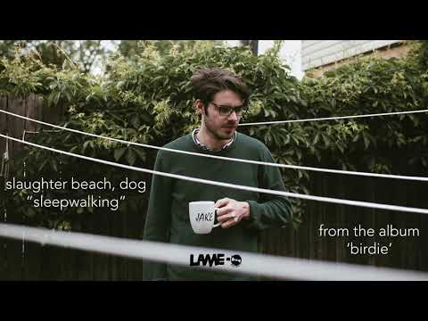 Slaughter Beach, Dog — Slaughter Beach, Dog - Sleepwalking