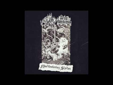 Drug Darkness — Mürmurio / Drug Darkness (France/US) - Mindfestering Shades (Split 2021)