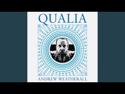Andrew Weatherall — Soft Estates