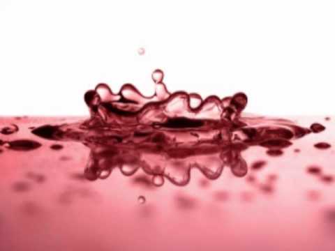 DJ Rene — DJ Rene music all over the world (vocal mix)
