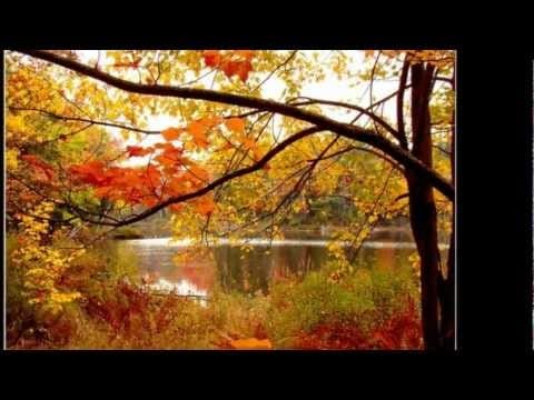 Michel Fugain — Je n'aurai pas le temps -Michel Fugain  (1967)