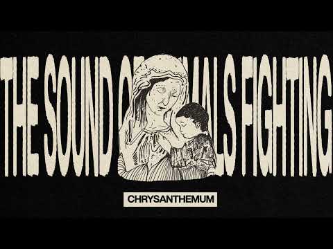 The Sound of Animals Fighting — The Sound of Animals Fighting - Chrysanthemum