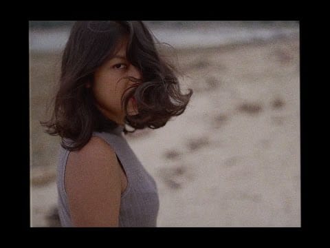 Vira Talisa — Vira Talisa Dharmawan - "Walking Back Home"