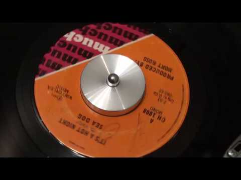 Sea Dog (2) — SEA DOG - It's A Hot Night (1st recording) - 1971 - MUCH