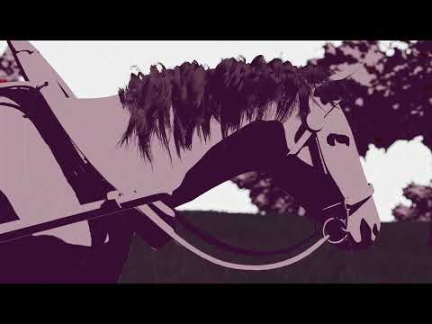 Pete Doherty — Peter Doherty - Calvados (Official Video)