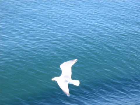 Debbie Loeb — Debbie Loeb - Faraway (Extended Dance Version) 2007.wmv