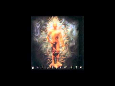 The Shock (2) — THE SHOCK "Nothing Lasts Forever"