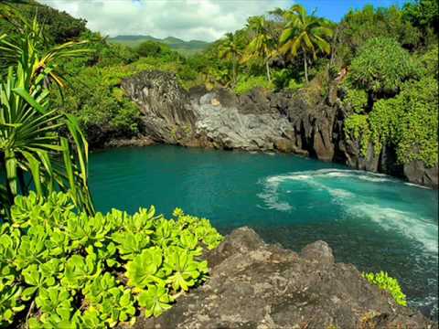 Sven Van Hees — Sven Van Hees - Ocean jive