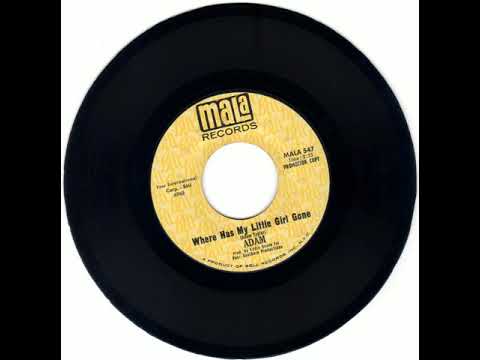 Adam (75) — ADAM - WHERE HAS MY LITTLE GIRL GO