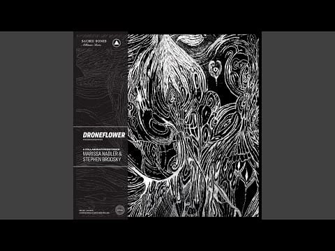 Marissa Nadler — Morbid Mist