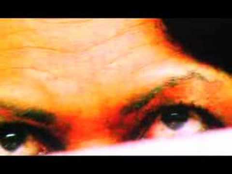 The Rosebuds — 'Box Car' The Rosebuds
