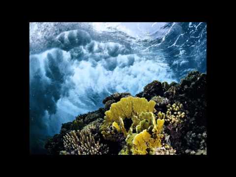 Audrey Gallagher — Ashley Wallbridge feat. Audrey Gallagher-Bang The Drum(Omnia Remix)