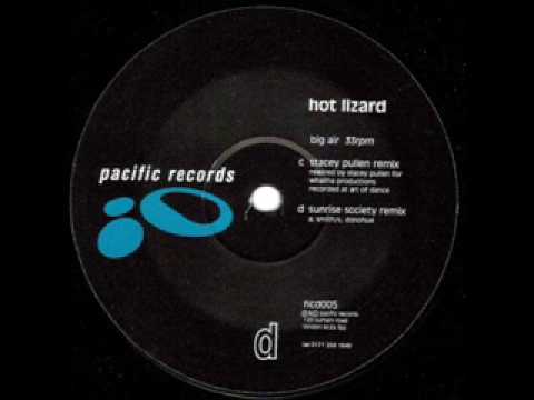 Hot Lizard — Hot Lizard - Big Air (Stacey Pullen mix)
