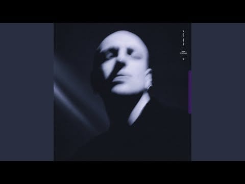 Leon Vynehall — Whip (feat. Jeshi)