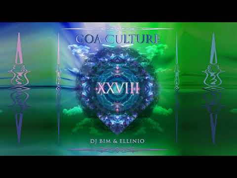 DJ Bim — Dual Vision - Tranceposition