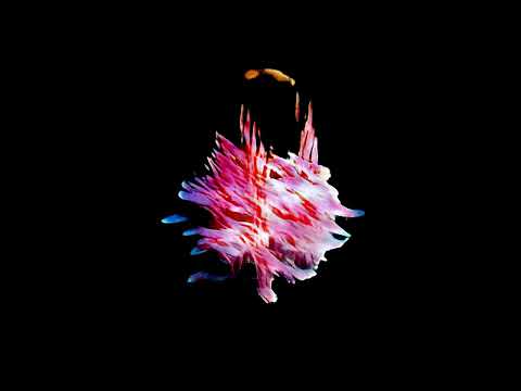 Gene Farris — Sub Focus - It's Time (ft. Gene Farris)