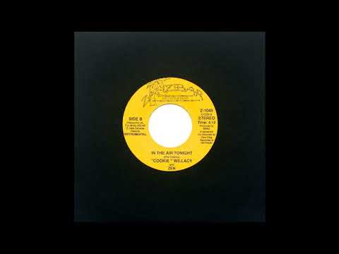 "Cookie" Willacy And Zen — Cookie Willacy & Zen - In the Air Tonight (Instrumental)
