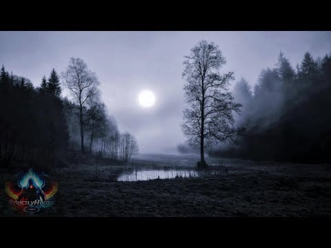 Sharon Phillips — Sharon Phillips - Touch Me