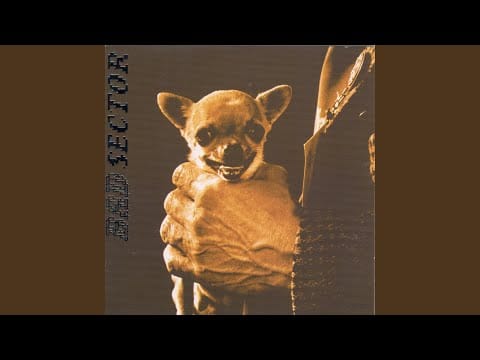Bad Sector — Ahibbe