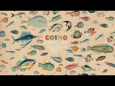 Cosmo Sheldrake — Cosmo Sheldrake - Wriggle (Instrumental)