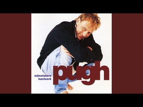 Pugh Rogefeldt — Besökaren