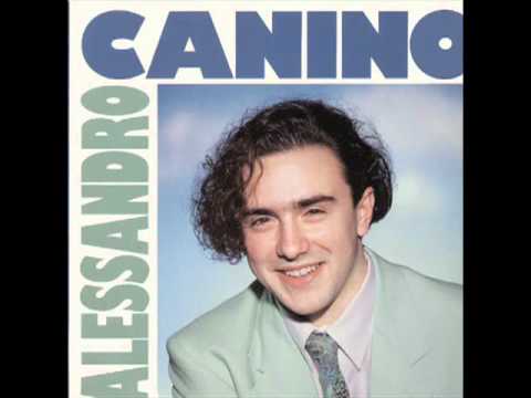 Alessandro Canino — Alessandro Canino - Brutta