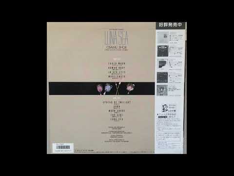 Osamu Shoji — 09 LUNA SEA～月の海～