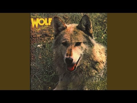 Darryl Way's Wolf — The Void