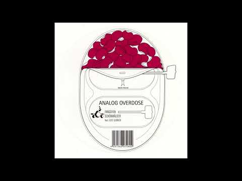 Lutz Ulbrich — Fanger & Schonwalder - Analog Overdose (2001) BERLIN SCHOOL. AMBIENT